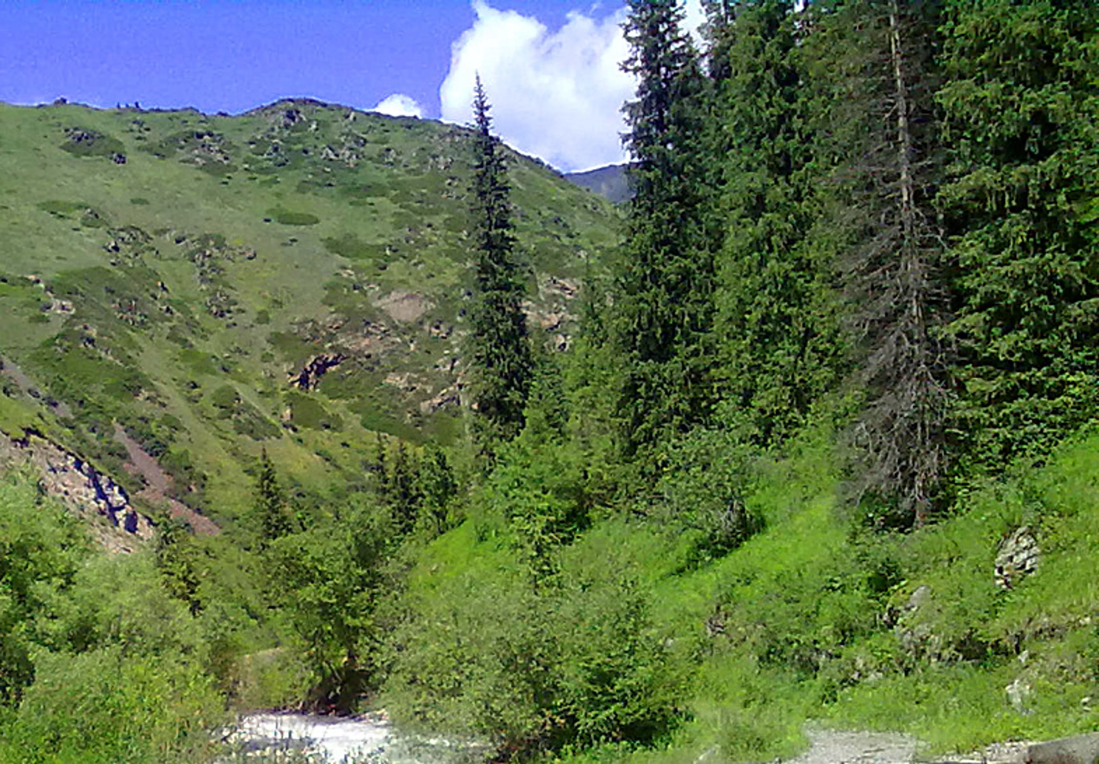 Капитал - Отдых под Алматы на всех направлениях