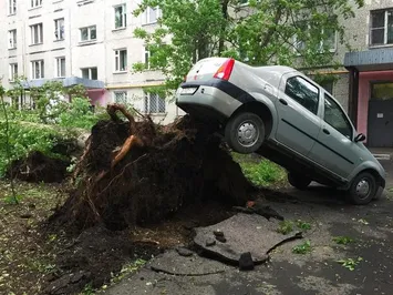 Одиннадцать человек стали жертвами урагана в Москве