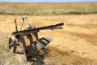 Фото: Руслан Пряников