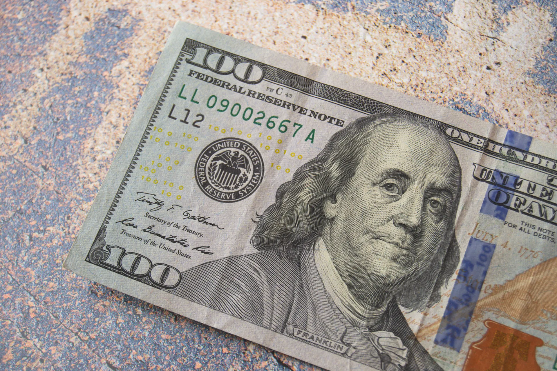 Фото: Валерия Змейкова