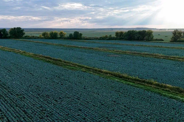 Фото: пресс-служба премьер-министра РК 