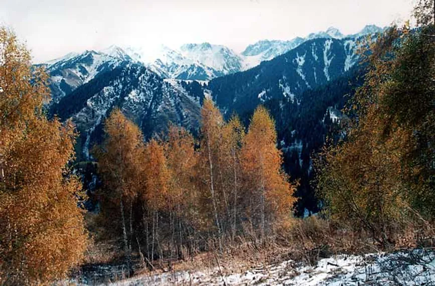 Капитал - Экологи недовольны слушаниями по «Кок-Жайляу»