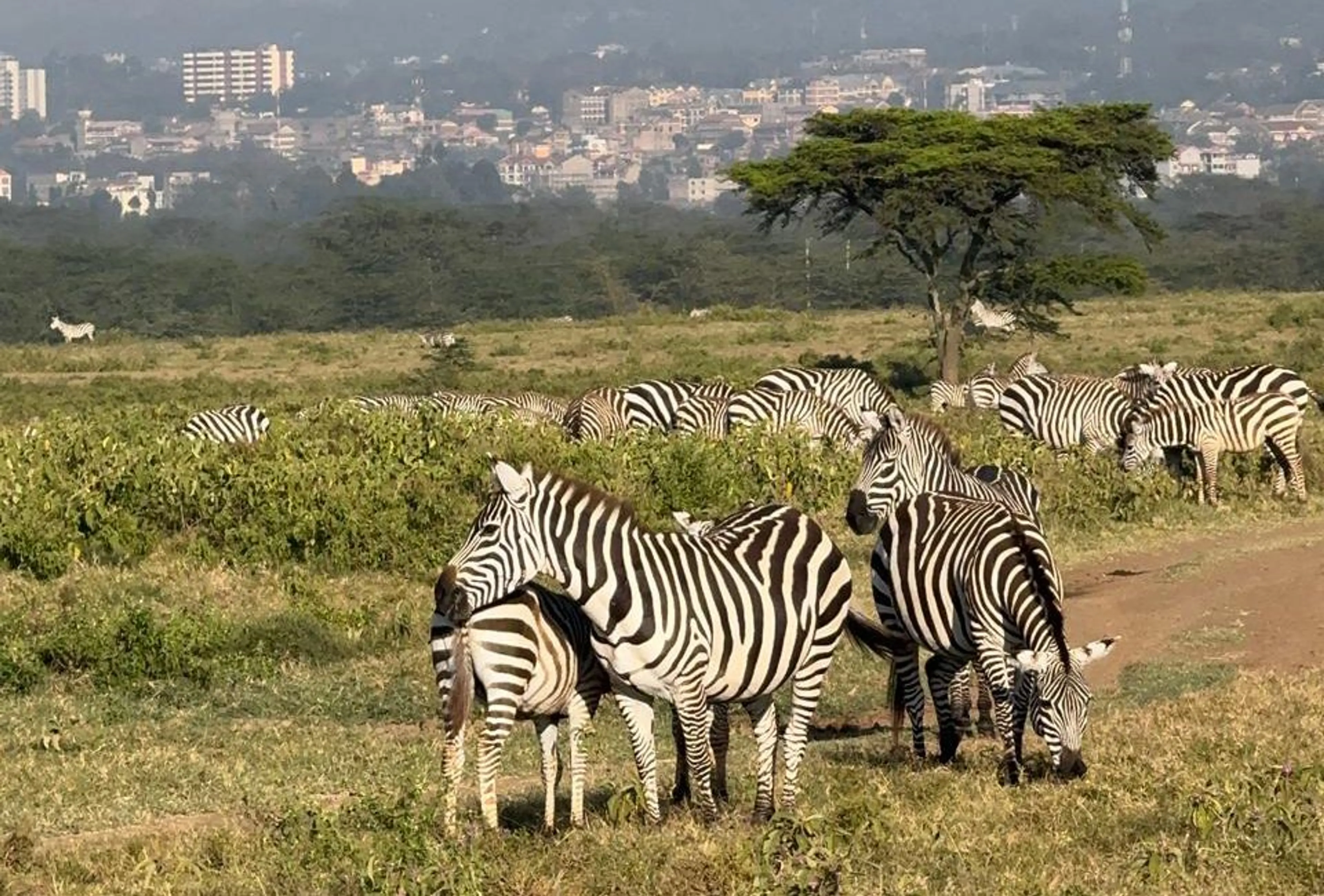 Фото: Наталья Панова