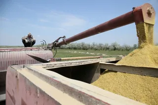 Фото: Руслан Пряников