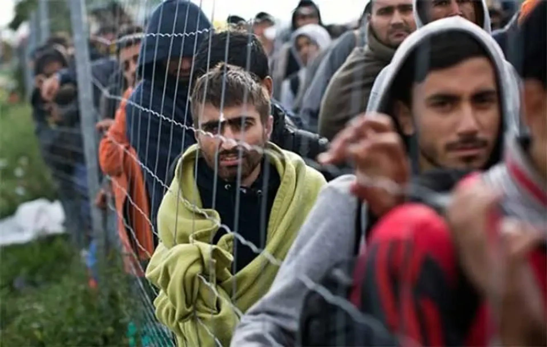 Капитал - В Казахстане зарегистрирован 291 беженец