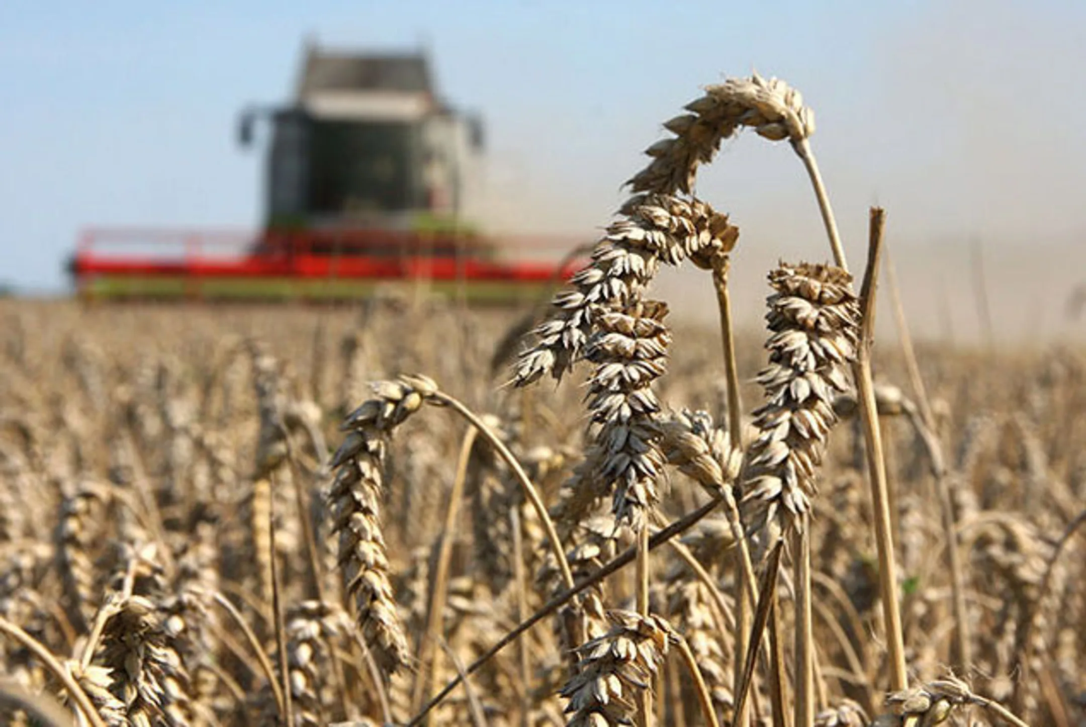 Казагромаркетинг одобрил удешевление 233 договоров займа - Image Kapital.kz