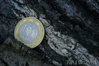 Капитал - Доллар снова прибавил в весе и окреп на 0,16%