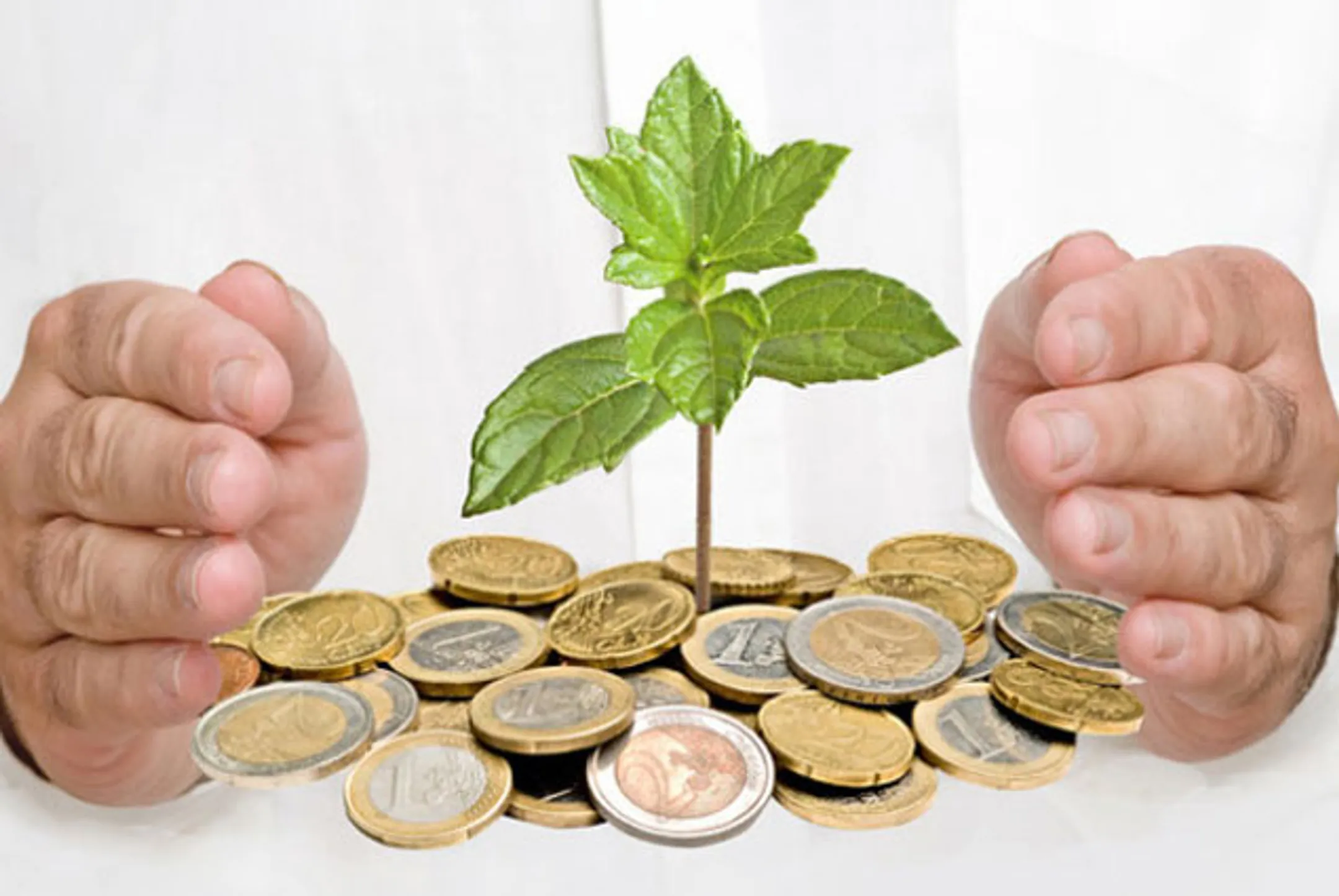 Единая программа поддержки бизнеса - Image Kapital.kz