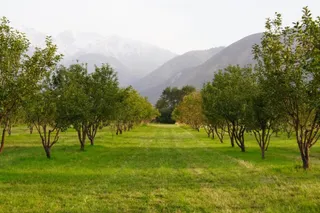 Фото: сайт министерства сельского хозяйства