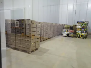 Капитал - Фруктохранилище открыли в Алматинской области