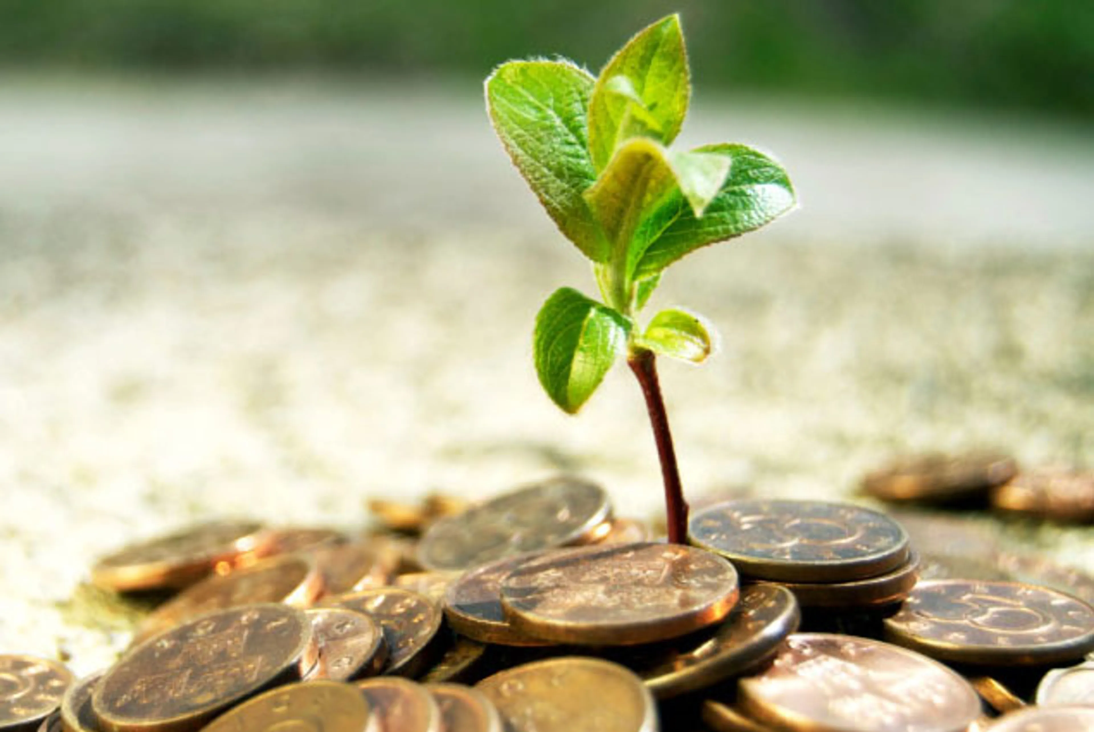 Капитал - Венгрия и Казахстан создадут фонд прямых инвестиций