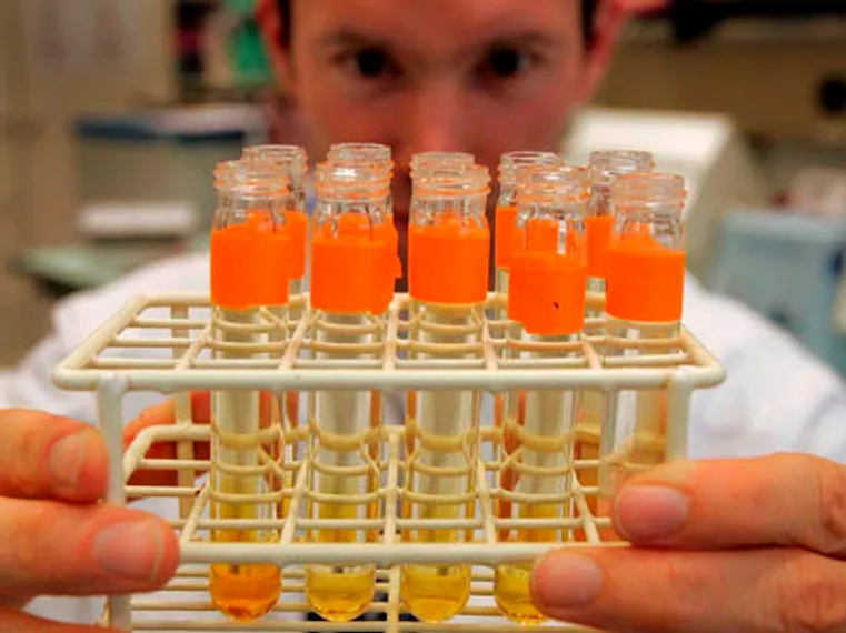 Капитал - Все допинг-пробы на ЧМ-2014 показали отрицательный результат