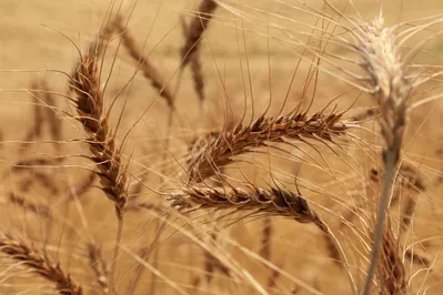 Фото: Руслан Пряников