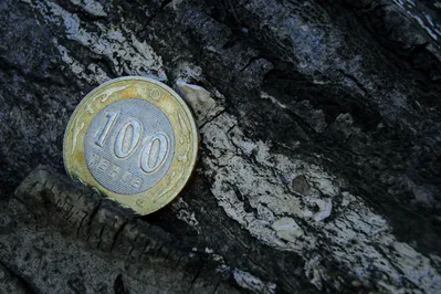 Курс доллара остается невозмутимым: 383,04 тенге