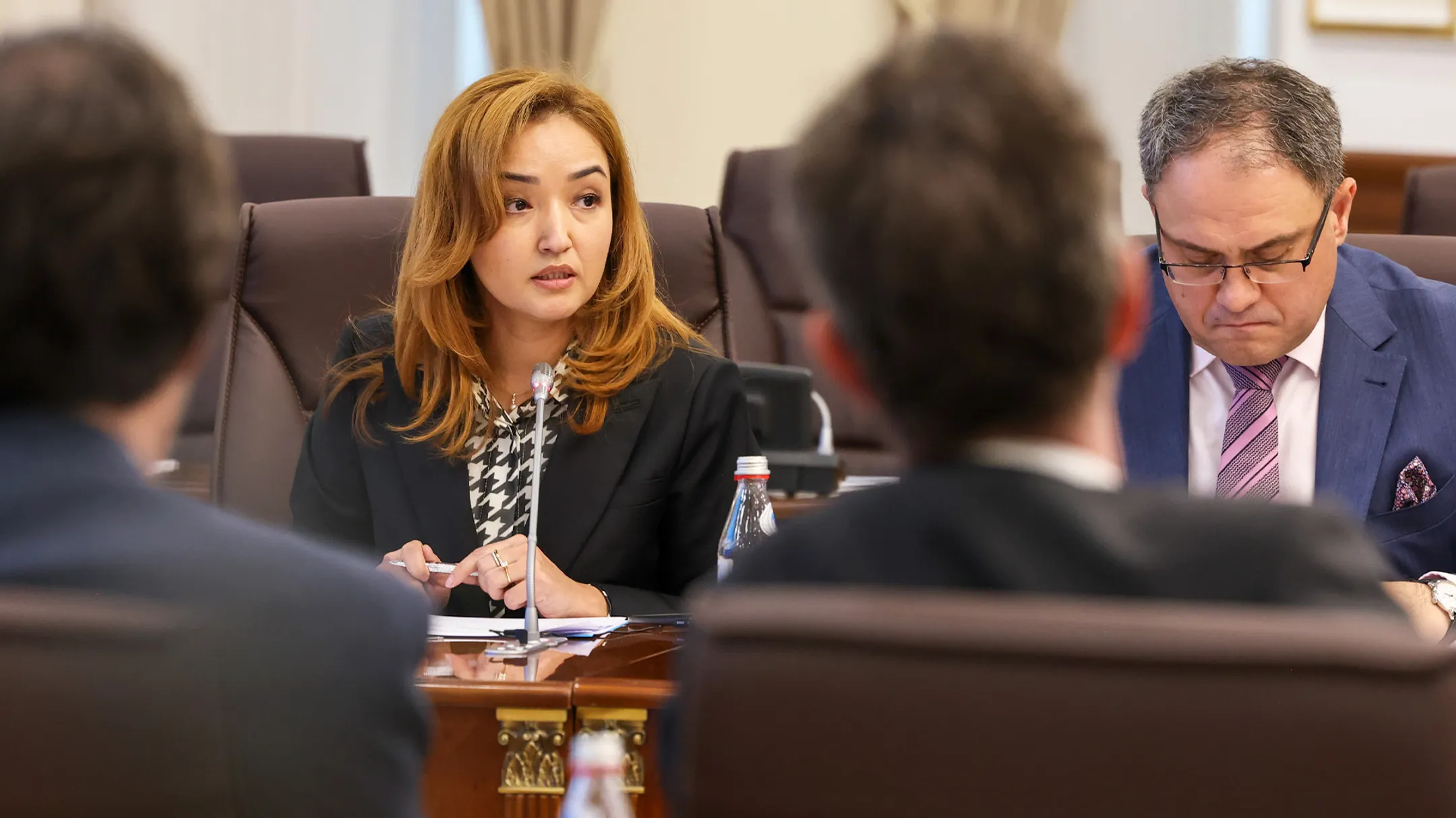 Казахстан планирует увеличить долю ВИЭ в энергобалансе до 15% — премьер - Image Kapital.kz