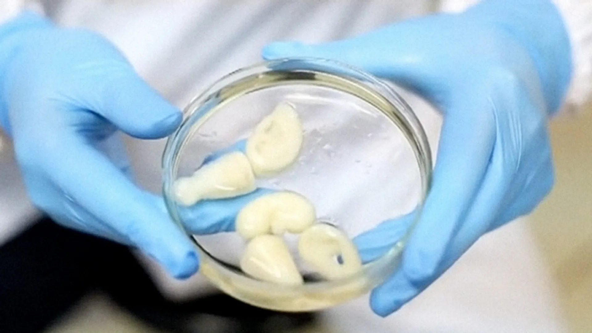 Капитал - В РК начнут создавать искусственные органы