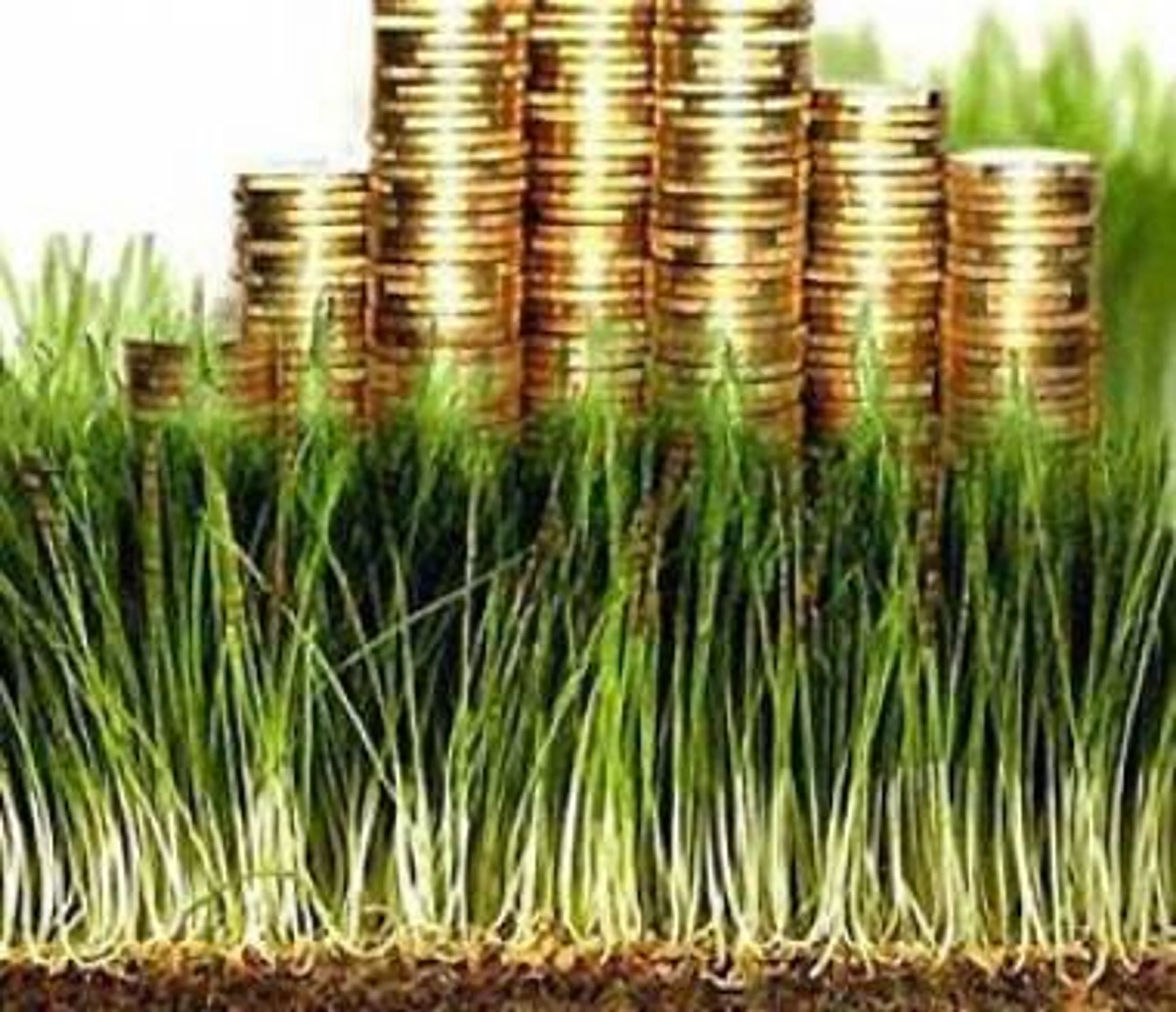 Капитал - В РК пересмотрят принцип начисления земельного налога