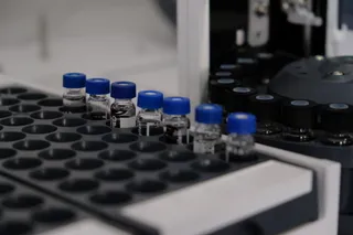 Фото: Владимир Третьяков