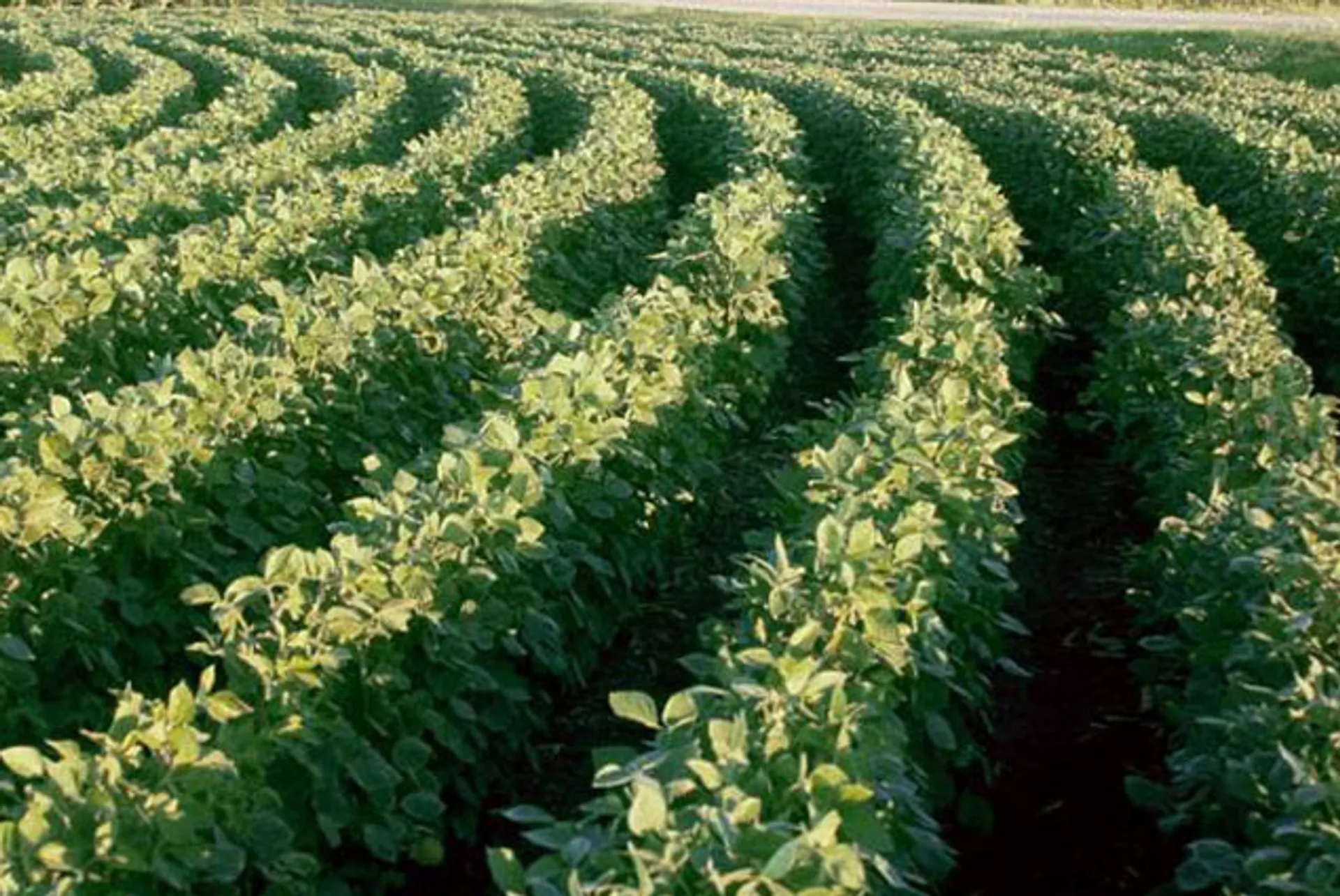 Капитал - Иран готов к сотрудничеству с Мангистауской областью