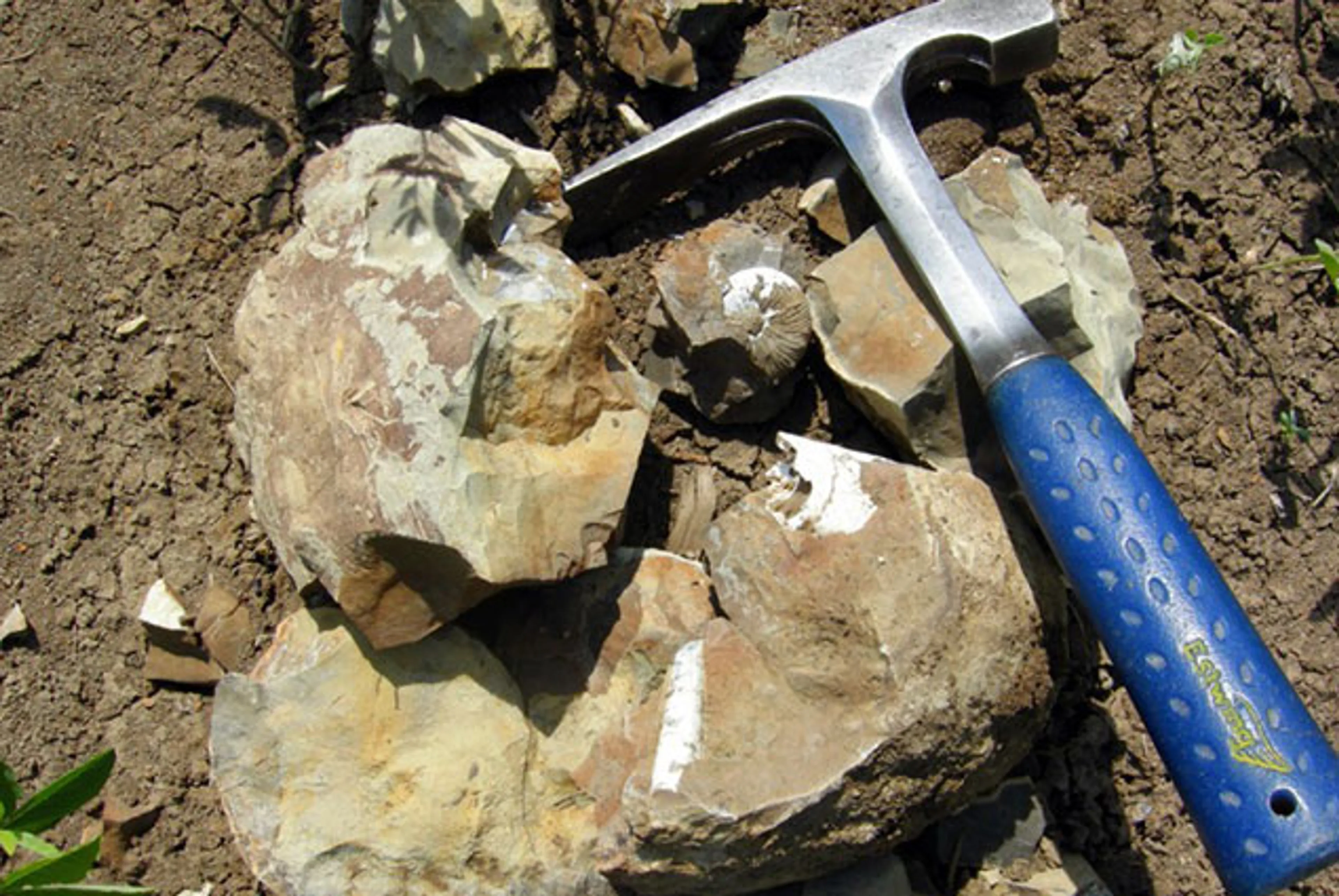 Капитал - Приток инвестиции в сырьевой сектор Казахстана составил $132 млрд