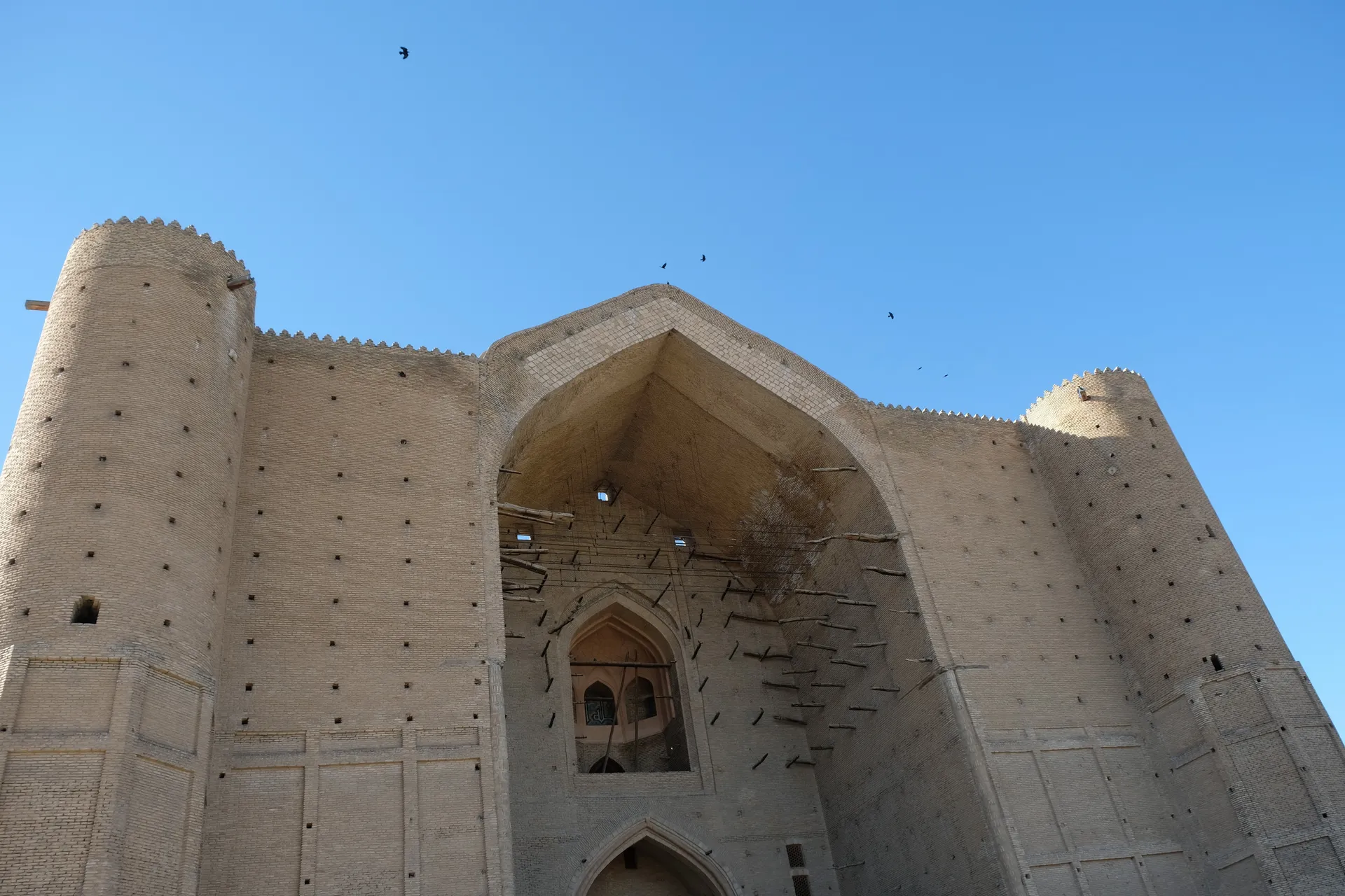 Фото: Владимир Третьяков