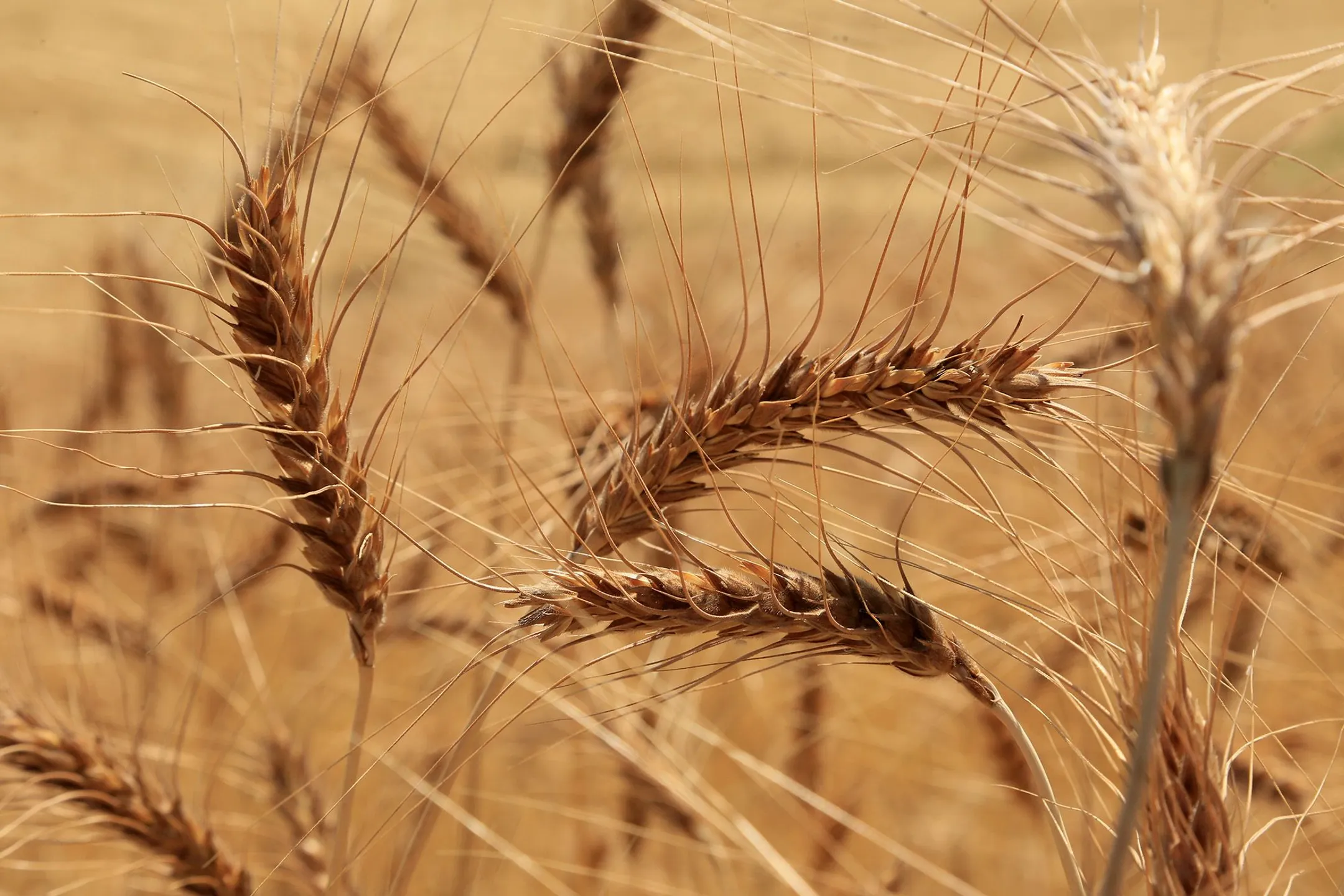 Фото: Руслан Пряников