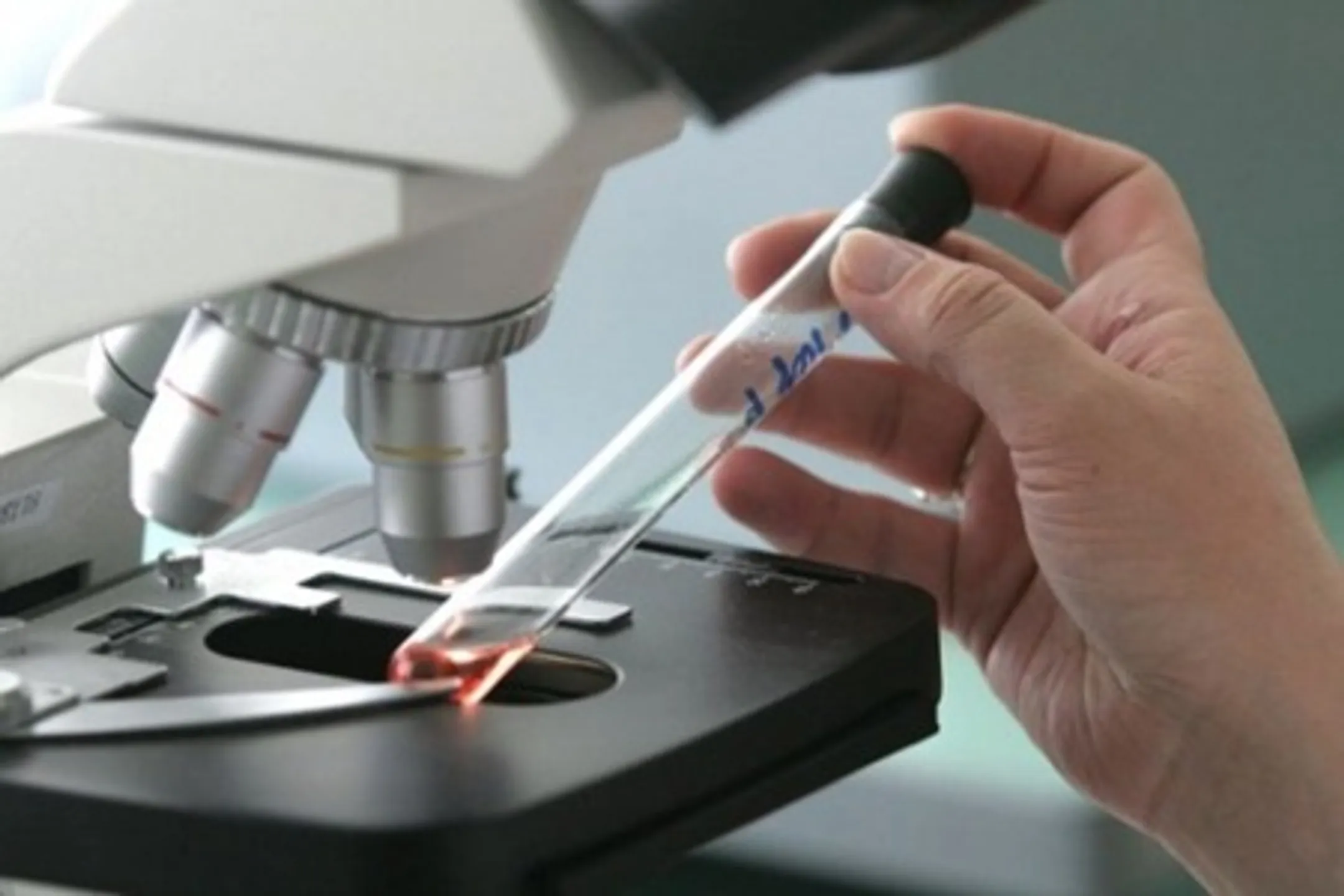 Эпидемия на Ближнем Востоке не утихает - Image Kapital.kz