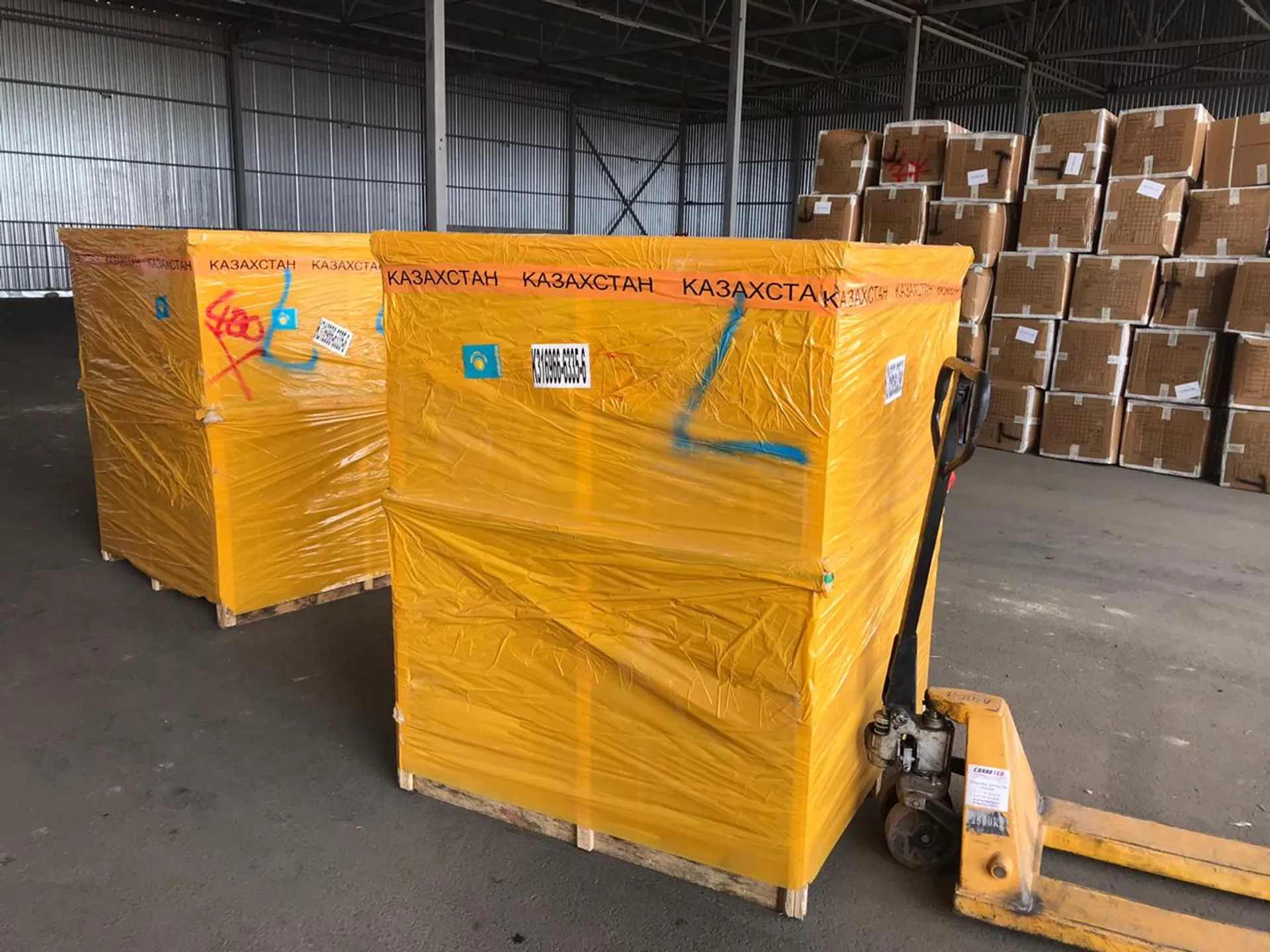 Капитал - Фонд Алии Назарбаевой закупил 233 кислородных концентратора