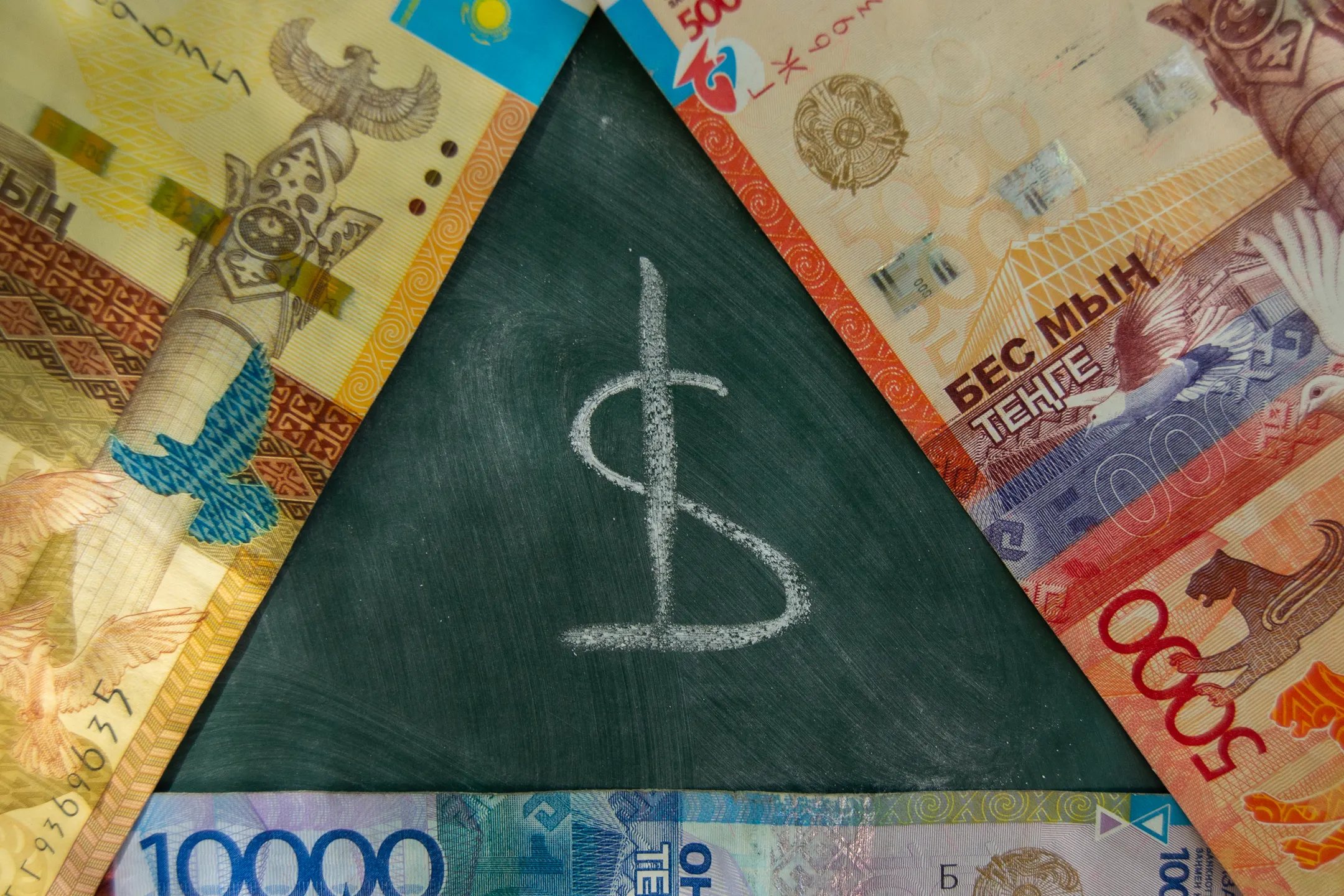 Фото: Валерия Змейкова 