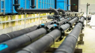 Фото: пресс-служба правительства