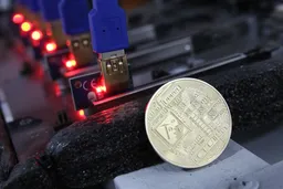 Фото: Руслан Пряников