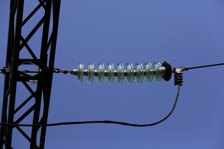 Фото: Руслан Пряников