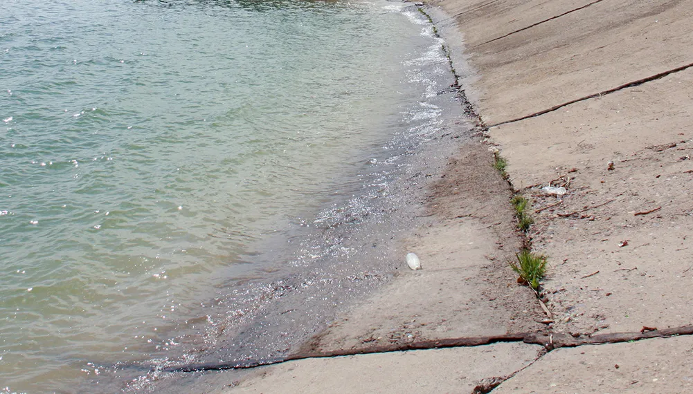 Фото: Руслан Пряников