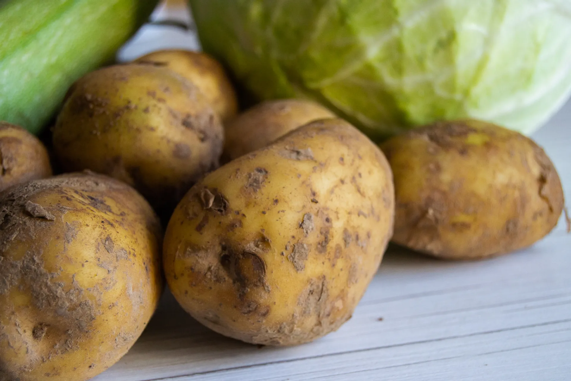 Фото: Валерия Змейкова