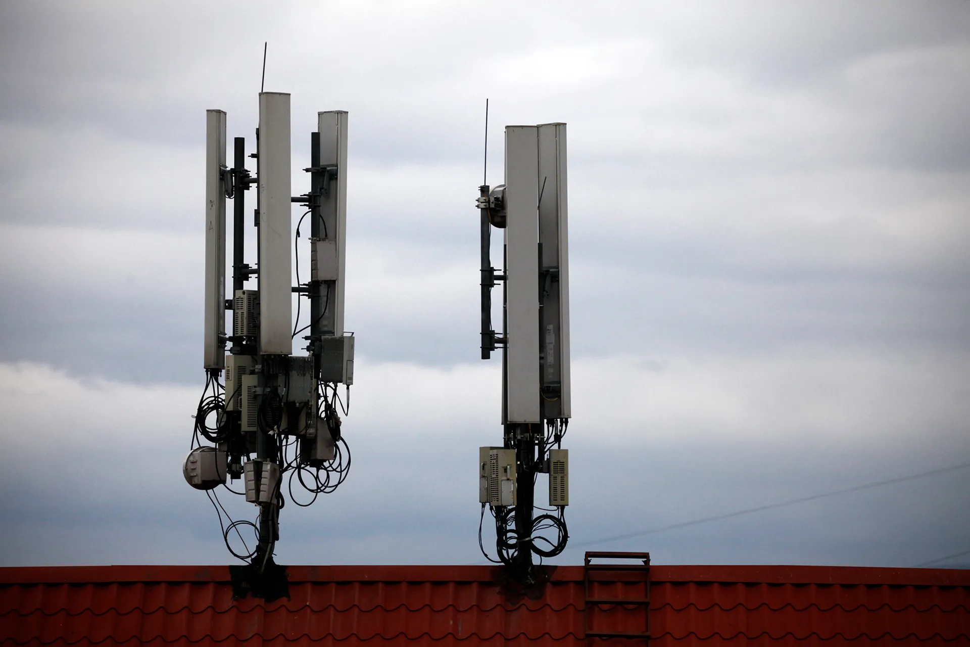 Фото: Руслан Пряников