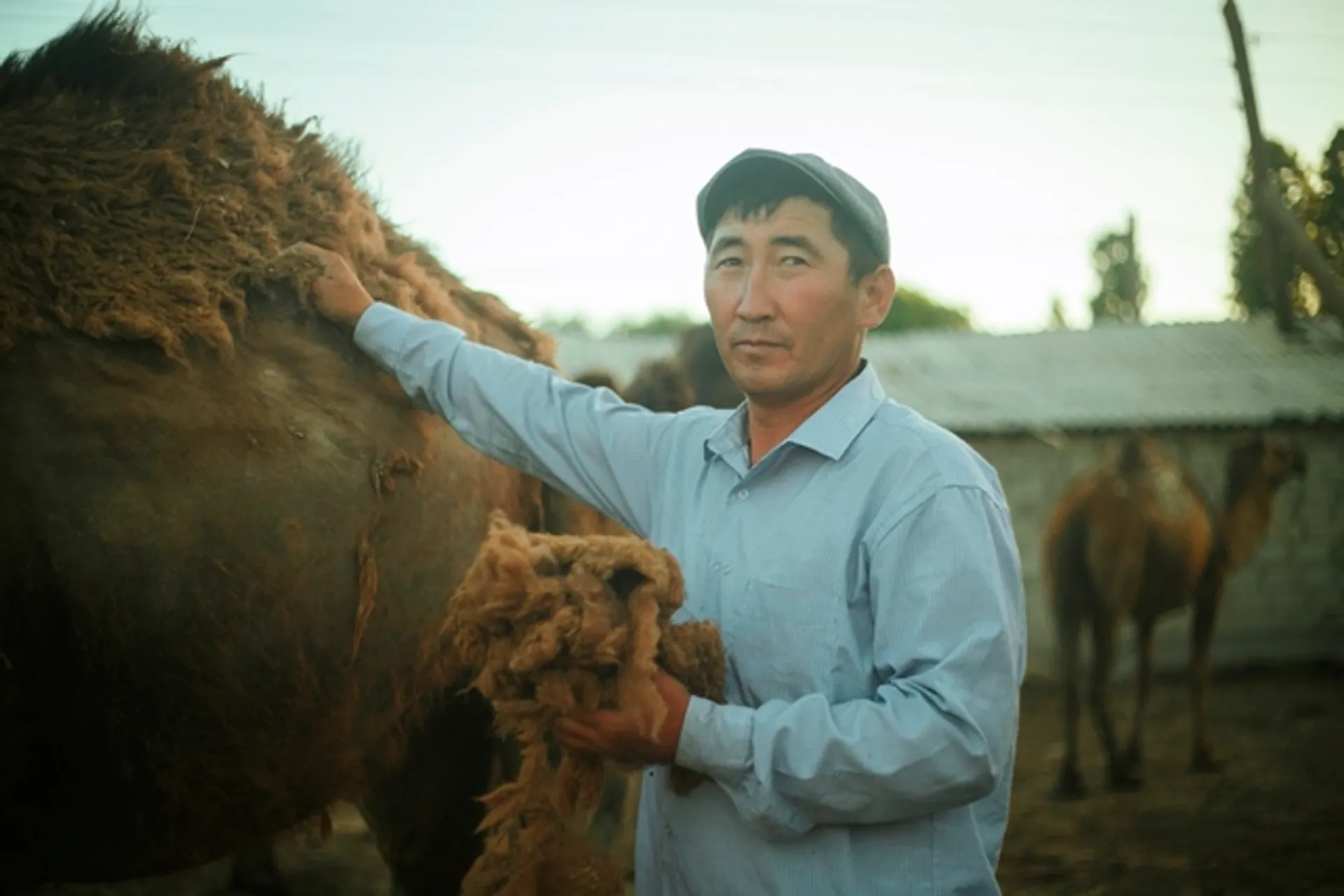 Капитал - Миллионер из аула