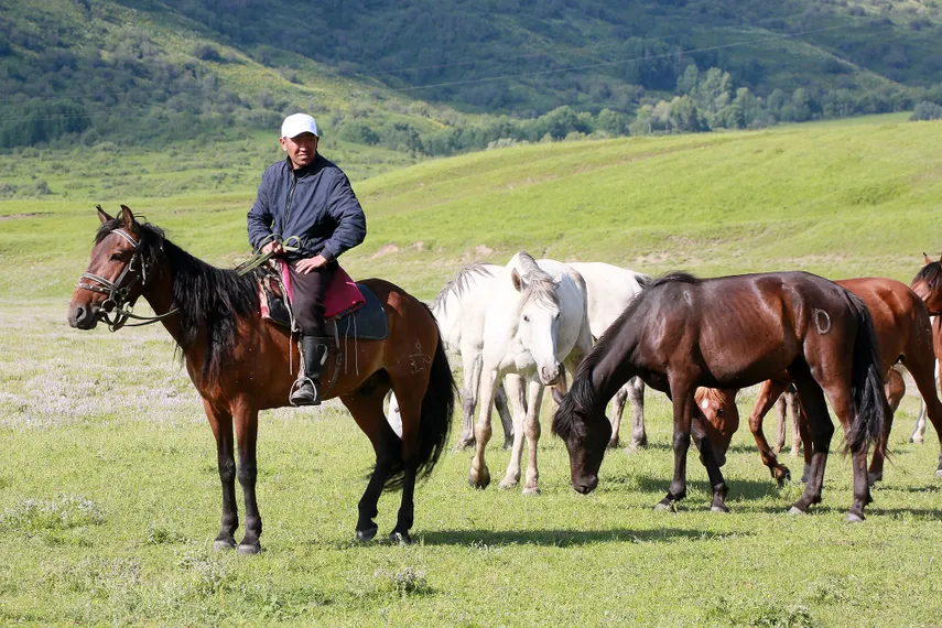 Фото: Руслан Пряников