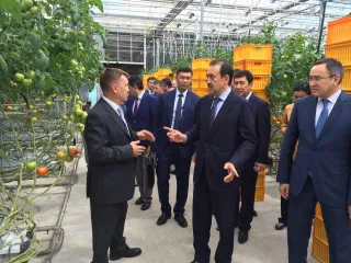 Капитал - Премьер-министру показали отечественные тепличные технологии