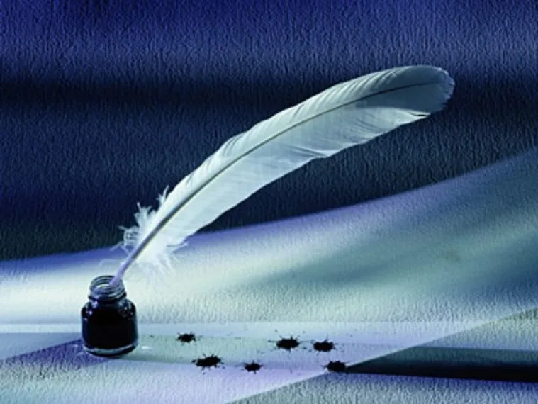 Капитал - Книжный сумрак