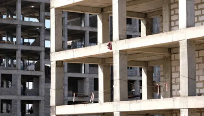 Фото: Владимир Третьяков