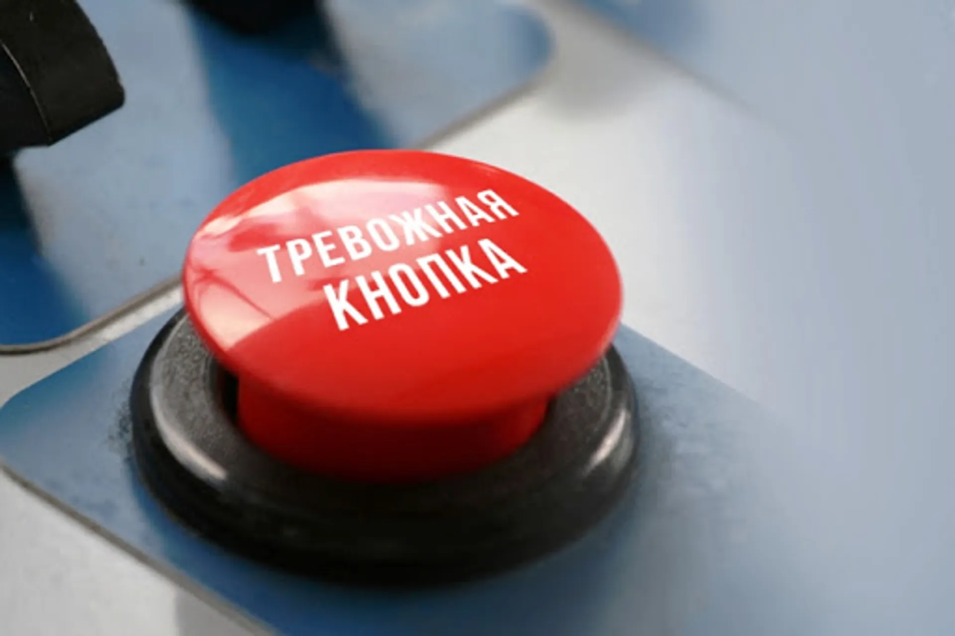 Пинск: Новости