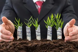 Капитал - Отделения почты обяжут выдавать микрокредиты аграриям