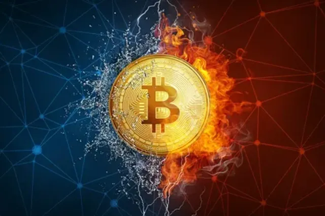 whattonews.ru