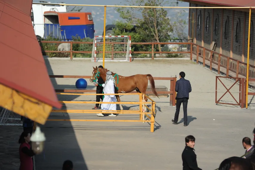Капитал - Игорь Бочкарёв: Весь конный мир ждет, когда Казахстан вольется в конную тусовку
