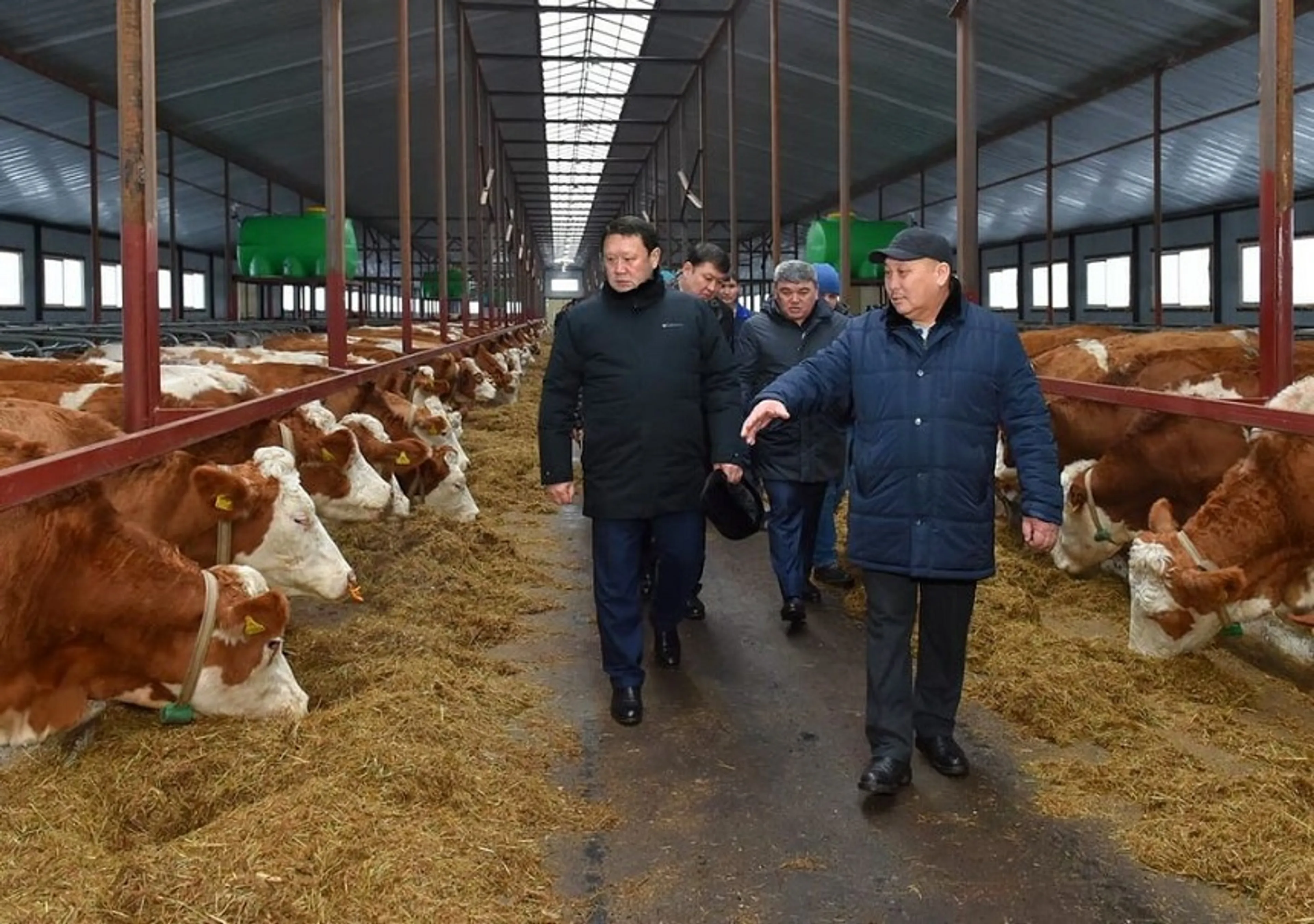 Капитал - На севере Казахстана в 2020 году начнут строительство 10 молочных ферм