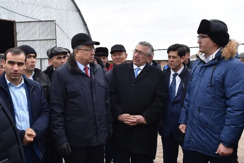 Капитал - ЮКО планирует поставлять в Иран 20 тысяч тонн мяса в год