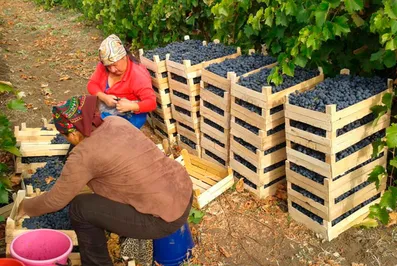 Молдова выдвинула России ультиматум