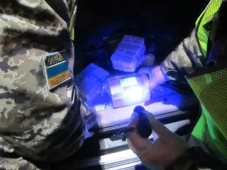 Капитал - Лишился Prado и миллионов