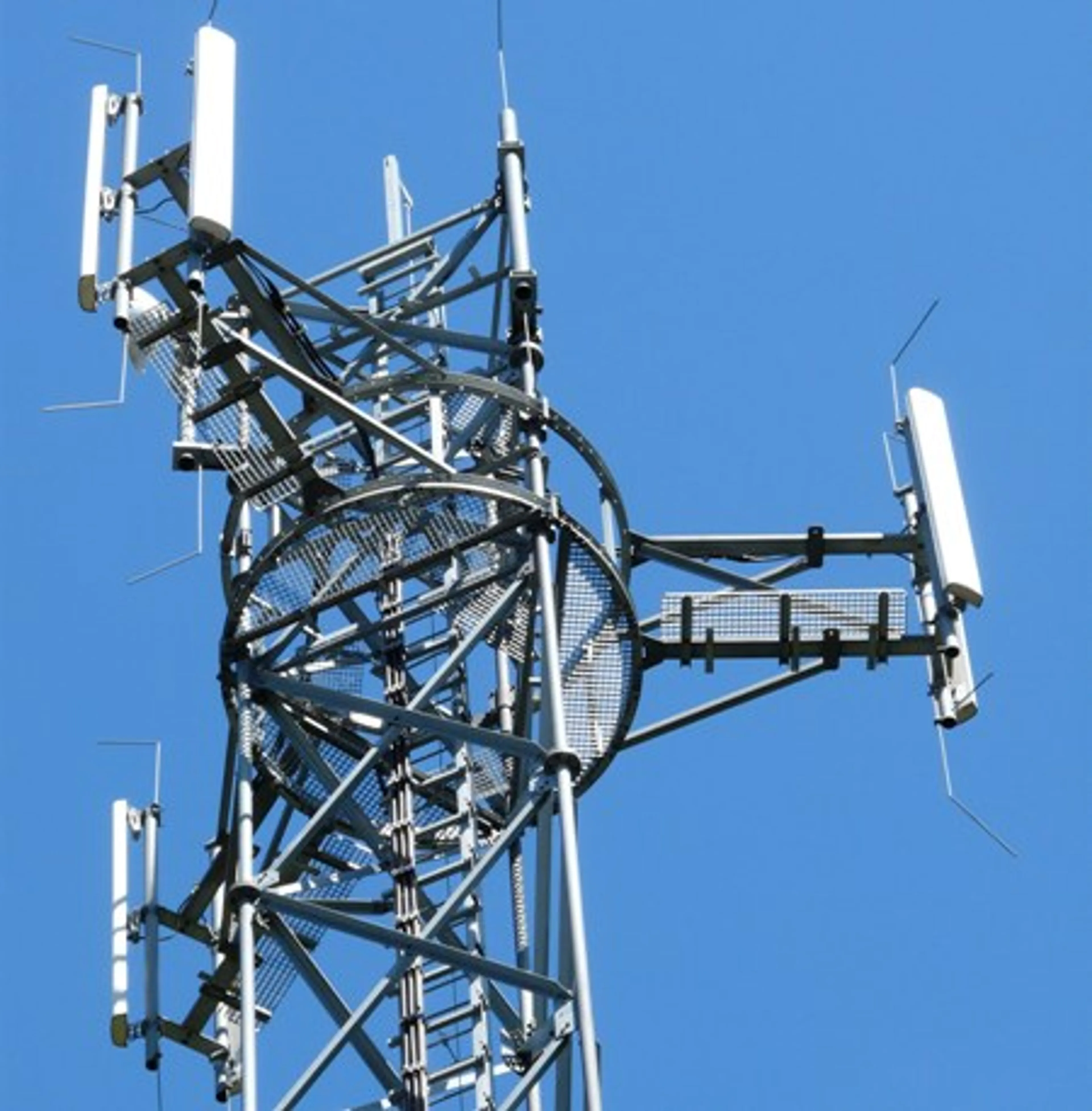 Капитал - Алматинец обокрал сотового оператора на 25 млн.