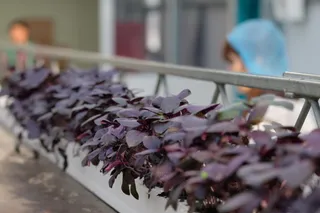 Фото: Владимир Третьяков